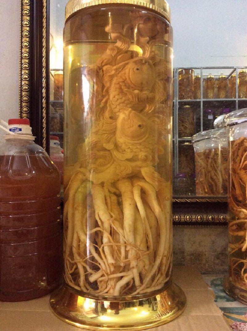 rượu sâm đinh lăng