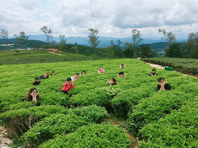 Tại sao nên mua nhà đất ở cầu đất Đà Lạt, Tại sao nên mua nhà Đà Lạt?