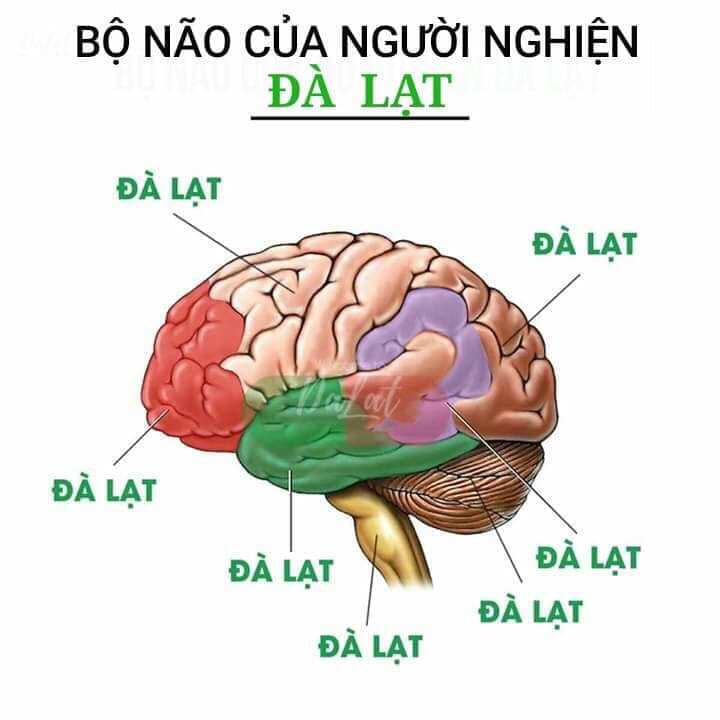 lý do nên mua bất động sản nghỉ dưỡng tại Cầu Đất Đà lạt